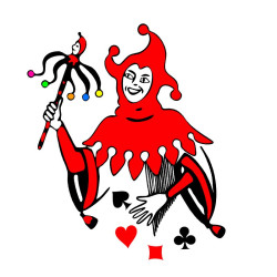 ARTICLE WILD CARD 1 €