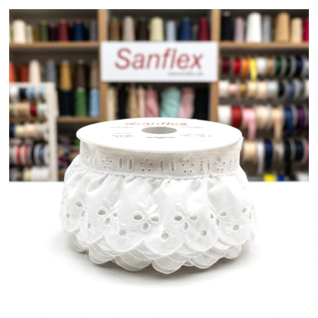 Embroidered Strip 7cm 11 Meters 29017-00