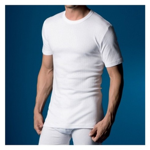 T-SHIRT MANCHES COURTES HIVER 206 PACK 3 TAILLE 48