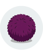 Pompon